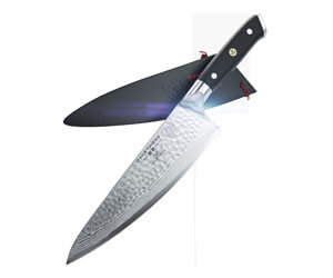 DALSTRONG Chef's Knife
