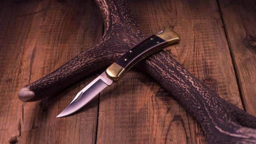 Best Buck Knife